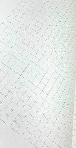 A5 grid loose leaf Tomoe River Paper