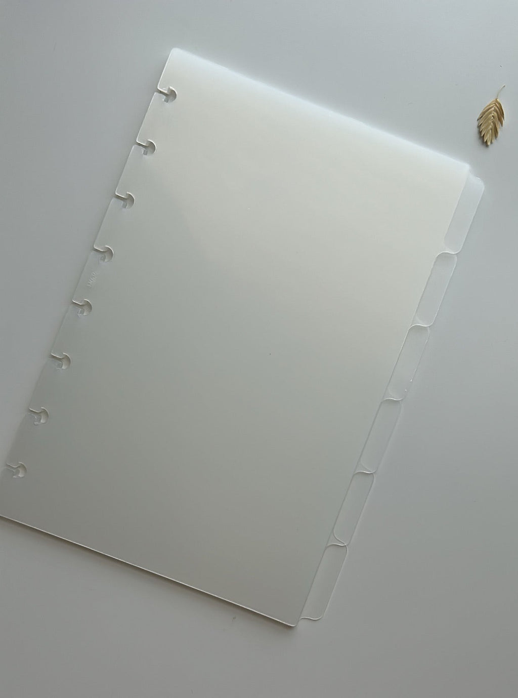 Frosted premium 6 side divider set - blank