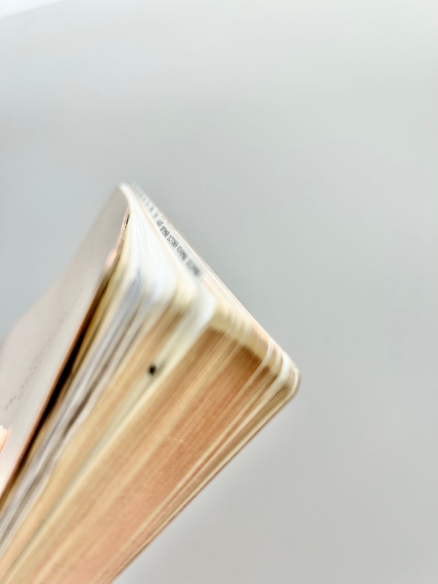 B6 TINY plastic sticker tabs - easy + durable