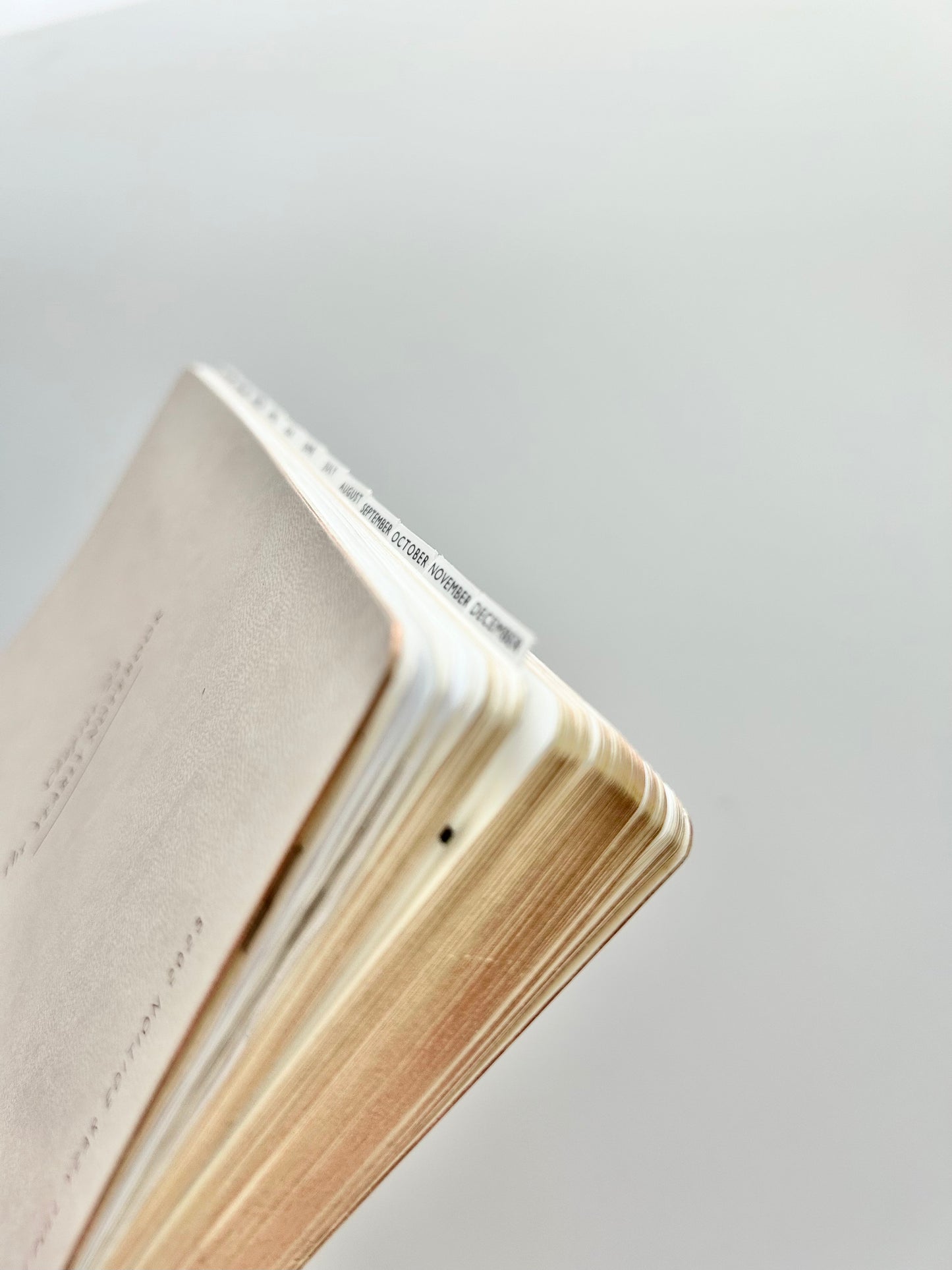 B6 TINY plastic sticker tabs - easy + durable