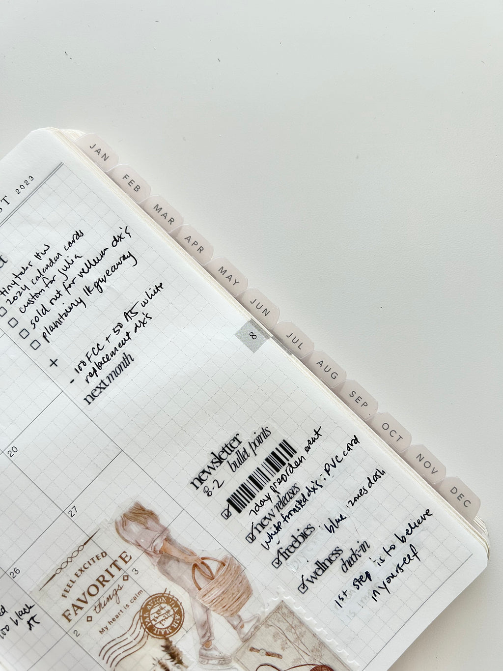 B6 plastic index tabs - months abbreviated