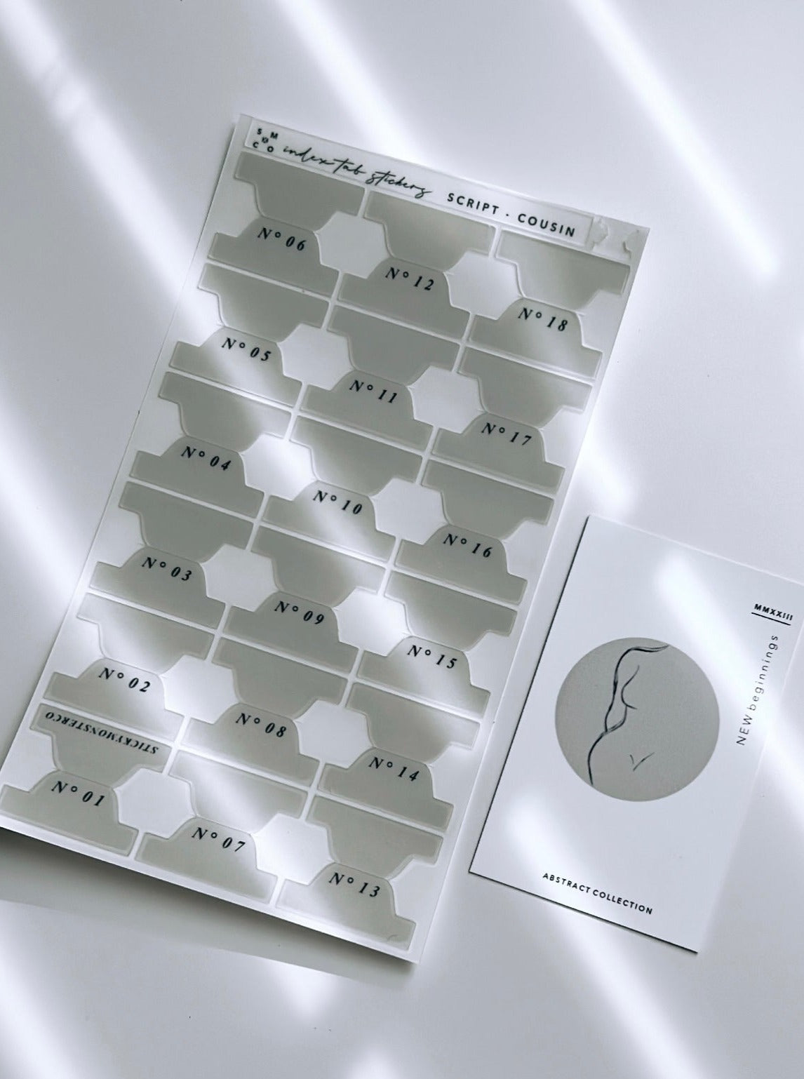 A5 hobo cousin plastic index tabs - spelled out months