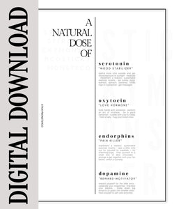 digital natural dose minimal abstract dashboard digital download